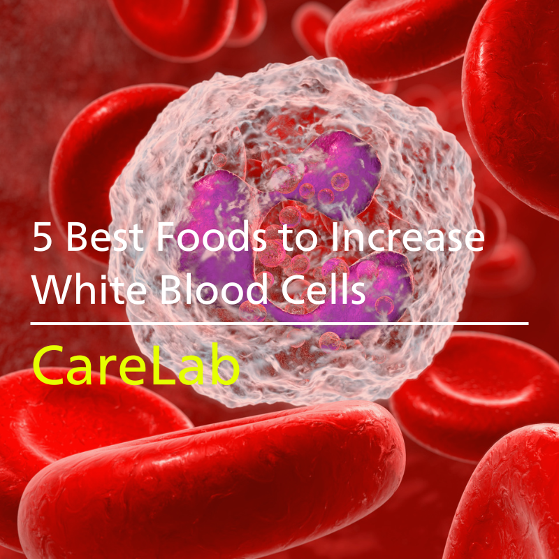 Foods to Boost White Blood Cell Count: What to Eat & Avoid